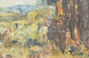 Herman Lipót (1884-1972): Börzsönyben. Olaj, farost, jelezve balra lent. Hátoldalán Képcsarnok Válla...