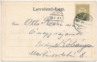 1904 Nagyszeben, Hermannstadt, Sibiu; Hallerwiese / Haller réti villák. Karl Graef kiadása / villas....