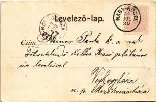 1899 (Vorläufer) Kolozsvár, Cluj; Fellegvár a Szamos mellett. Gibbon Albert kiadása / Somes riversid...