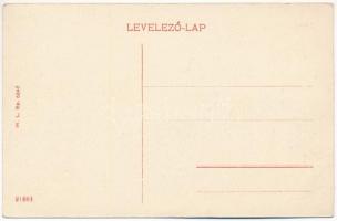 Brassó, Kronstadt, Brasov; Hirscher utca, Vigadó. W.L. Bp. 6847. / street view, concert hall