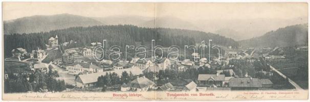 1901 Borszék, Borsec; látkép, villák. Soós kiadása. 2-részes kihajtható panorámalap / Totalansicht / general view, spa, villas. 2-tiled folding panoramacard (EK)