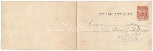 1901 Borszék, Borsec; látkép, villák. Soós kiadása. 2-részes kihajtható panorámalap / Totalansicht /...