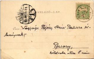 1903 Borszék, Borsec; Kossuth kút / Kossuth-Brunnen / Fintana de Kossuth / spa, spring source, well ...