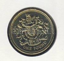 Nagy-Britannia 1983. 1Ł érmés, bélyeges borítékon, alkalmi bélyegzővel T:1 Ismertetővel!