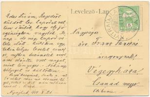 1914 Nyitraújlak, Nyitra-Újlak, Velké Záluzie; Gróf Esterházy kastély parkja / castle park (EK)