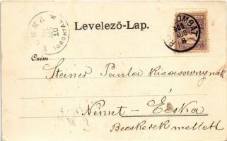 1901 Rimaszombat, Rimavská Sobota; Erzsébet tér, kávéház, piac, üzletek. Lévai Izsó kiadása / square...