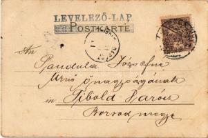 1901 Hölgy / Lady. Erika Nr. 465. Art Nouveau litho, unsigned Raphael Kirchner (EK)