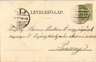 1903 Besztercebánya, Banská Bystrica; Városháza, tér, szökőkút / town hall, square, fountain (EK)