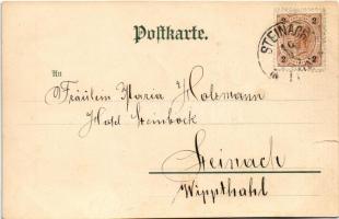1899 (Vorläufer) Schwarzwald-Postkarten Nr. 5. (tear)