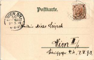 1899 (Vorläufer) Schwarzwald-Postkarten Nr. 1. (EK)