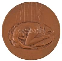 Tizennégy darabos kifogástalan állapotú, gyűjtemény alapozó Éremkedvelők Egyesülete (ÉKE) és Magyar ...