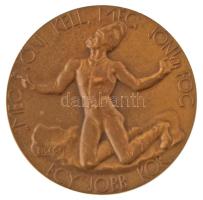 Tizennégy darabos kifogástalan állapotú, gyűjtemény alapozó Éremkedvelők Egyesülete (ÉKE) és Magyar ...