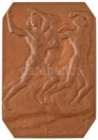 Tizennégy darabos kifogástalan állapotú, gyűjtemény alapozó Éremkedvelők Egyesülete (ÉKE) és Magyar ...