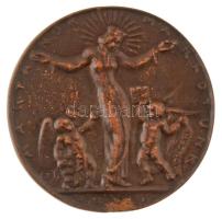 Tizennégy darabos kifogástalan állapotú, gyűjtemény alapozó Éremkedvelők Egyesülete (ÉKE) és Magyar ...