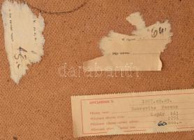 Dobrovits Ferenc (1941-1988): Kopár táj, 1987. Olaj, farost, jelezve balra lent. Hátoldalán autográf...