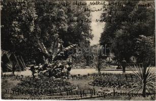 1909 Pozsony, Pressburg, Bratislava; Ligeti díszkert / Aupark / park