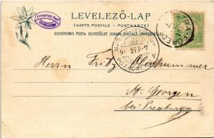 1901 Ótátrafüred, Alt-Schmecks, Stary Smokovec (Magas-Tátra, Vysoké Tatry); Ó-Tátra-Füred a Nagyszal...