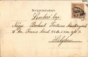 1900 Balaton, Yachtverseny a Balatonon. Kőbányai Király-sörfőző részvénytársaság reklámja. Bruchstei...