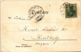 1900 Bad Ems, Gesammt Ansicht (EB)