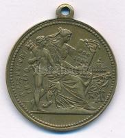 1896. Milleniumi emlék / I. Ferencz József kétoldalas bronz emlékérem füllel (30mm) T:XF