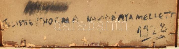 Jelzés nélkül: Olvasó nő Nagybánya mellett 1928. Olaj, karton 24x29 cm Hátán régi felirattal