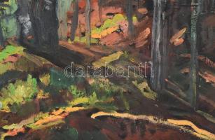 Incze István (1905-1978): Erdélyi erdőrészlet. Olaj, karton, jelzés nélkül, üvegezett fakeretben, 31...