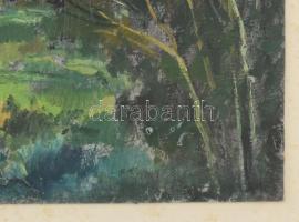 Incze István (1905-1978): Maros Marosvécsnél (Erdély), 1974. Olaj, karton, jelezve jobbra lent, üveg...