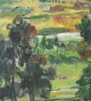 Incze István (1905-1978): Maros Marosvécsnél (Erdély), 1974. Olaj, karton, jelezve jobbra lent, üveg...