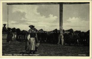 Hortobágy, Pányvavető csikós, magyar folklór. Photo Erdélyi