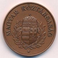 Fűz Veronika (1951-) ~1990. "Deák Ferenc 1803-1876 / Magyar Köztársaság" kétoldalas bronz ...