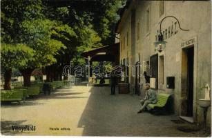 1910 Vihnye, Vihnyefürdő, Kúpele Vyhne; Hársfa sétány, Nándorház, jegypénztár. Joerges kiadása / street view, bath, ticket office (EK)