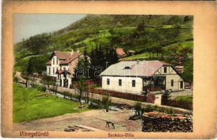 Vihnye, Vihnyefürdő, Kúpele Vyhne; Pinusz és Szokács villa. Grohmann kiadása / villas (EK)