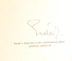 Erdős Renée: Santerra bíboros. ALÁÍRT! Bp., 1924, Dick Manó. Félvászon kötés, kopottas állapotban.