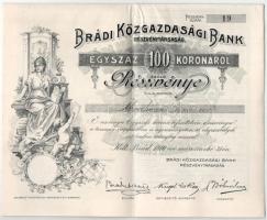 Brád 1910. "Brádi Közgazdasági Bank Részvénytársaság" névre szóló részvénye 100K-ról, szelvényekkel, szárazpecséttel T:XF,VF