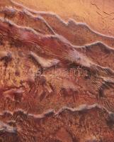 Zajácz Tamás (1952-): Kompozíció. Bőrkép, faroston, jelzett a hátoldalán, 50x70 cm