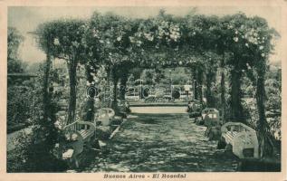 Buenos Aires rose garden