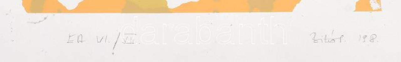 Bitó Ildikó (1966-): Memória III. Szitanyomat, papír. Jelzett. Művészpéldány E.A. VI./VII. számozáss...