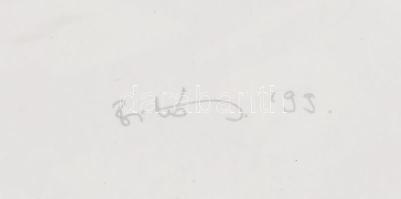 Bitó Ildikó (1966-): Behálózva, 1999. Szitanyomat, papír. Jelzett. Művészpéldány E.A. IV./VII. számo...