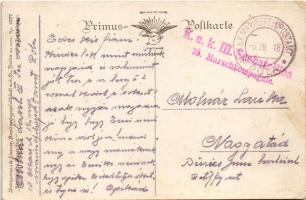 1918 Unsere Emden, Kaiserliche Marine. Wohlgemuth & Liessner No. 1077. "Deutschlands Flagge...