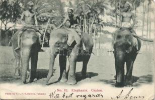 On Elephant back in Ceylon (EB)