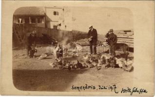 1917 Smederevo, Semendria, Szendrő; osztrák-magyar katonák segítenek a háziállatok ellátásában / WWI K.u.k. military, soldiers helping with the livestock. photo (fl)