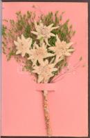 Zürich. Edelweiss-Ansichtskarte / Kinyitható svájci képeslap valódi szárított havasi gyopár virággal...