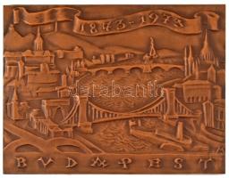 Madarassy Walter (1909-1994) 1973. "Budapest 1873-1973" egyoldalas, öntött bronz plakett dísztokban (78x101mm) T:UNC