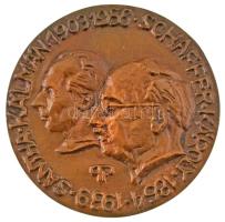 1991. Első Magyar Neuoropathologiai Konferencia / Sántha Kálmán - Schaffer Károly bronz emlékérem. Szign.: PP (105mm) T:AU