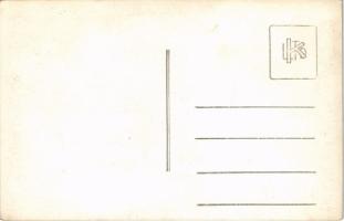 Borszék, Borsec; nyaraló / villa. photo