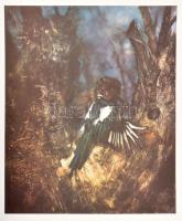 Csergezán Pál (1924-1996): Zsákmány. Nyomat, papír, jelzett a nyomaton, az Erste Csergezán Pál Kunstmappe c. mappából, 37,5×31 cm