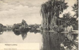 Nádasd-Ladány a kastéllyal