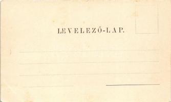 Nagyszeben, Hermannstadt, Sibiu; Gruss aus Sächsisches Ehepaar, Siebenbürgerische Volkstypen-Karte N...