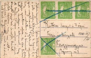 Tallós, Tomásikovo; Gróf Esterházy kastély / castle (EB)