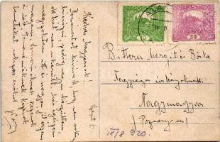 Tallós, Tomásikovo; Uradalmi központ részlete / manor